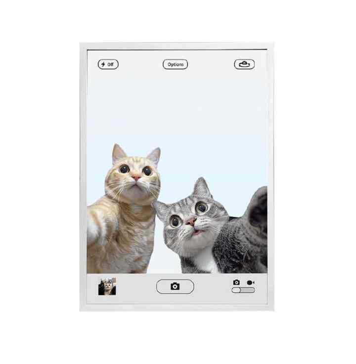 selfie cat poster mirror