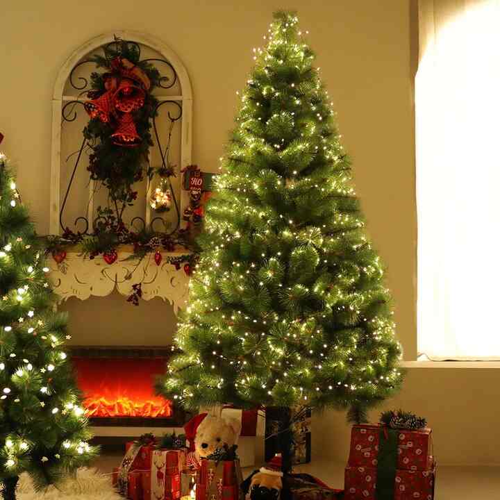 Primera パインツリー単品/フルセット［4種・4サイズ］