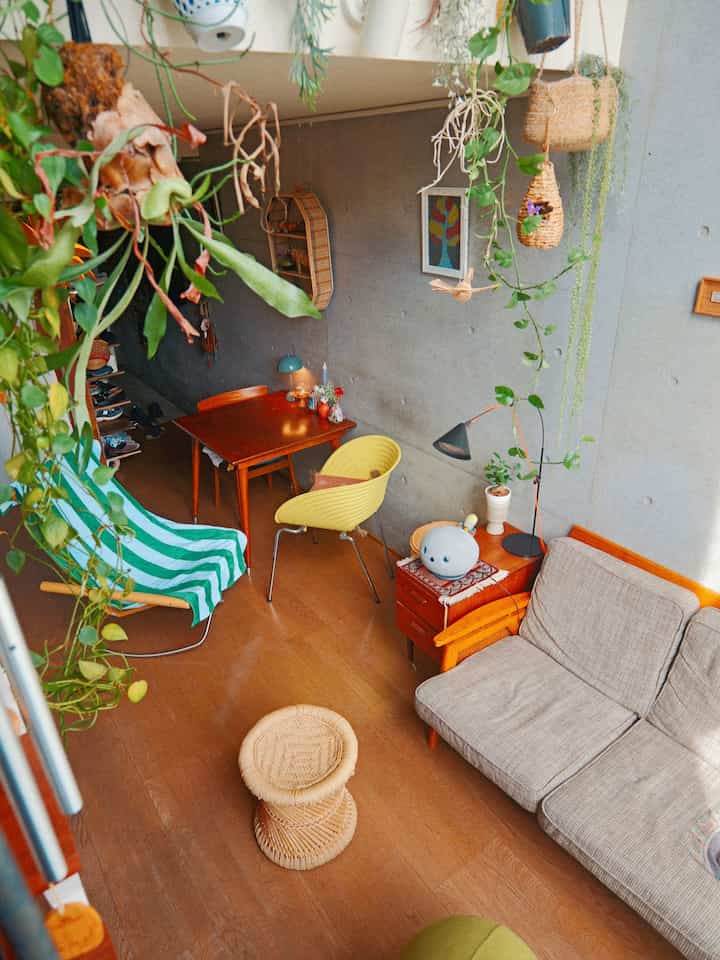 植物に囲まれて暮らしています

#ソファ　#ソファインテリア  #コンクリート打ちっぱなし　#コンクリート部屋　#2人暮らし 
