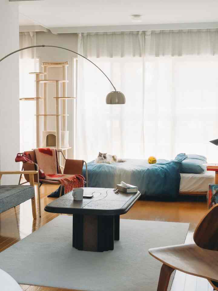 Soft natural tone studio bedroom featuring a cat tower and bed in a cozy space