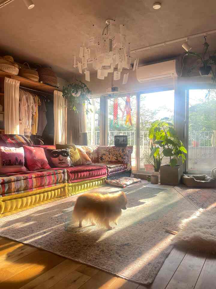 #リノベーション 
#フォルナセッティ
#ロッシュボボア