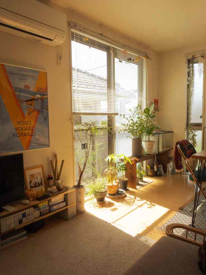 温かみのあるナチュラルカラーの1LDKリビング、植物やブラインド、ミッドセンチュリーモダン家具が配置された雰囲気のある空間