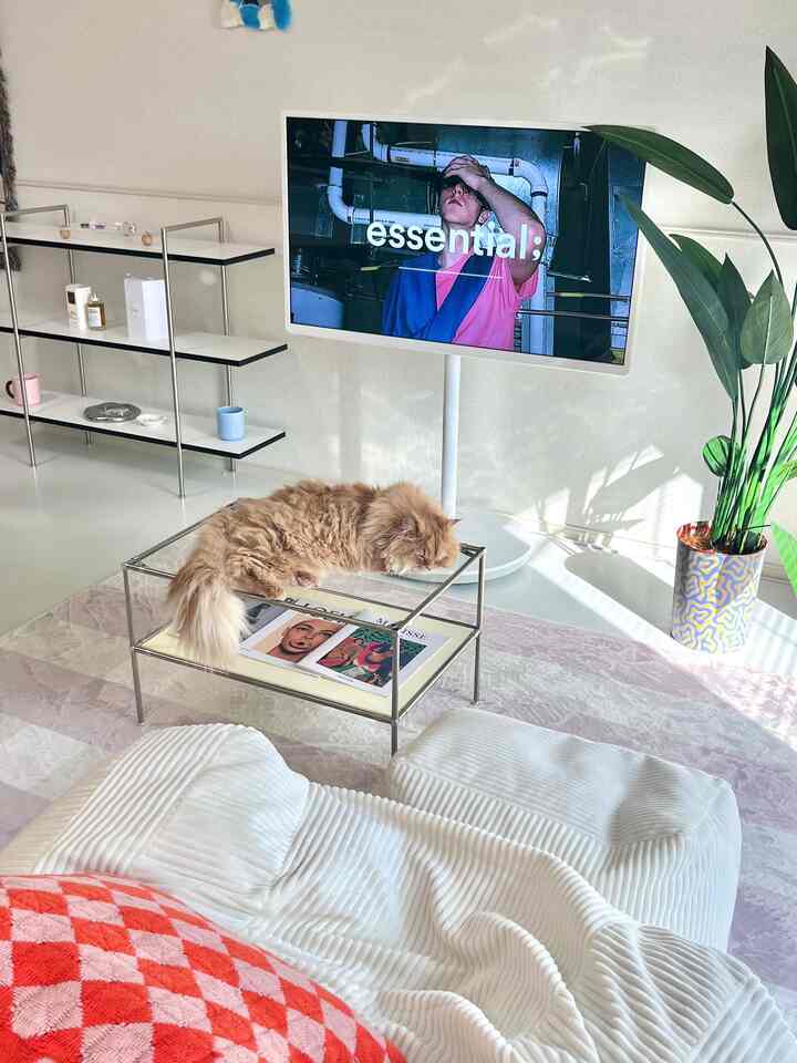 Bright white-toned living room with a cat resting on a glass coffee table in a minimalist modern interior space