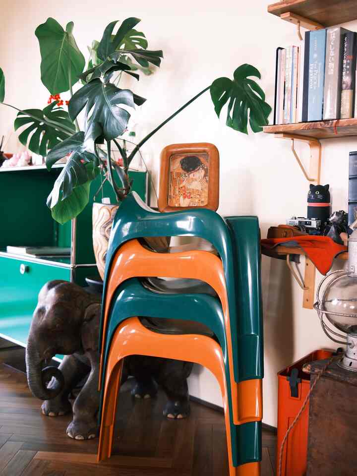 リビングに置いても可愛い椅子発見💡
たくさんお客さんを呼んでホームパーティをするために購入した、4脚の椅子。
積み重ねても可愛い。
普段はクリムトの接吻置きになってる。
それもまた可愛い。

#観葉植物
#椅子 
#椅子おすすめ 
#ホームパーティー 
#ゲスト用
#リビング
#interior
#관엽식물
#chair
#カラフルなインテリア 
#カラフル 
#植物インテリア 