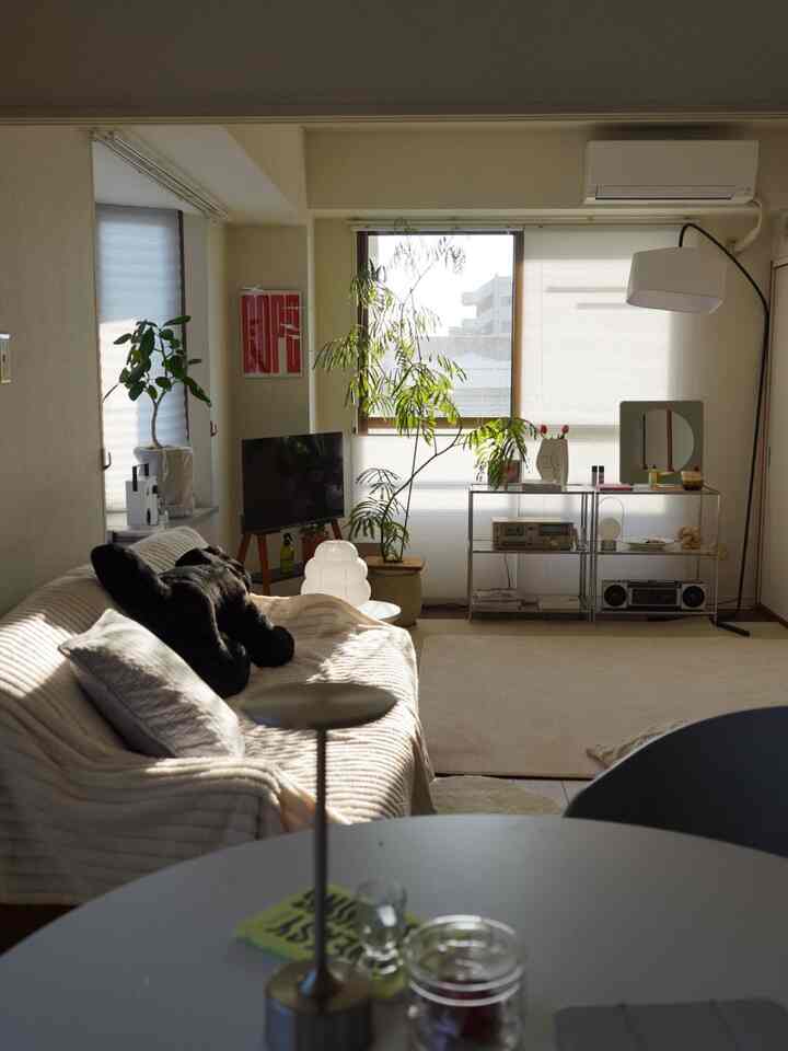 朝の6時のリビング

掃き出しが東側
部屋のほとんどは北側
南向きがない部屋ですが開口が広く
建物が隣接していないので
昼間もちょうどよく明るいです

#北向き #東向き #リビング #リビングダイニング