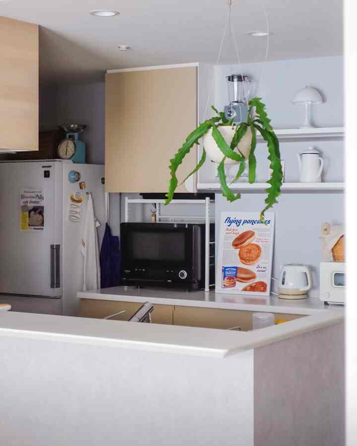 白とベージュのトーンのコンパクトなキッチン、レトロなキッチン用品と観葉植物が配置された雰囲気のある空間