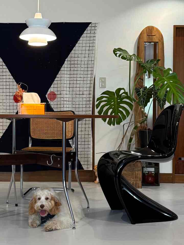 #ダイニング #ダイニングテーブル #ダイニングチェア #ライト #照明