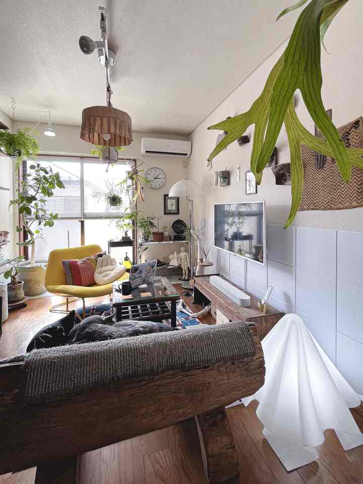 Brown wood-tone floor living room with yellow armchair, assorted plants, and two cats resting creating a cozy atmosphere
