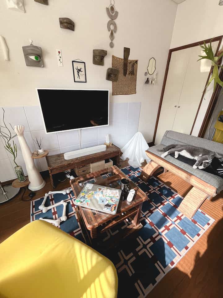 Blue and brown toned living room featuring TV, wooden sofa bench, a cat, and pet toys creating a cozy atmosphere