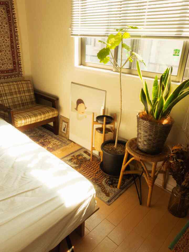 ベージュと白の色調の小さなワンルーム寝室、ミッドセンチュリーモダンのアームチェアと植物が配置された温かみのある空間