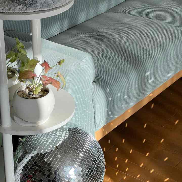 🪩があるとテンションあがる✨

#1LK #ディスコボール　#植物　