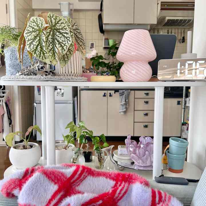 白い棚とピンクのテーブルランプがあるキッチンコーナー、多様な植物と赤いブランケットで彩られた温かみのあるインテリア