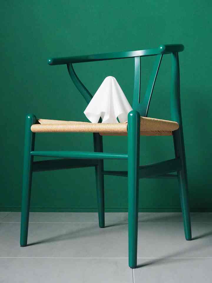 The first chair you buy is always special.

I wanted a chair that would be my lifelong companion,
and it took me four years to find this one.

The color is no longer in production,
so I want to continue to cherish it like my own child.

#Ychair #CH24 #wishbonechair #北欧 #グリーン #allgreenroom
