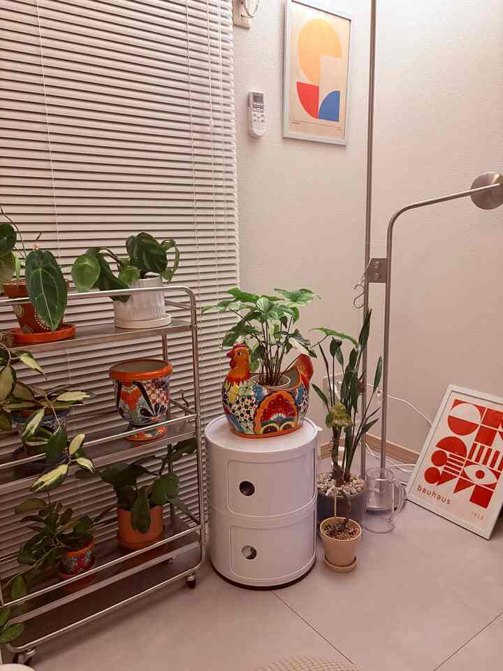 白い壁と床に、中間に白い収納とメタルシェルフが並ぶ植物コーナー、モダンで落ち着いた印象のインテリア