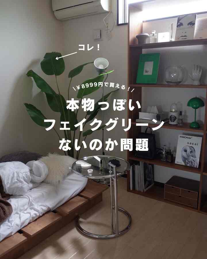 引っ越しと共に仲間入りしたIKEAのゴクラクチョウカフェイクグリーン！
茎を曲げれるのが最大のポイントだ〜！
IKEA公式サイトが1番安いよたぶん！

#フェイクグリーン #フェイクグリーンのある暮らし #インテリアグリーン #植物のある生活 #一人暮らし部屋 #ひとり暮らしインテリア #部屋作り #インテリア好きと繋がりたい #ナチュラルインテリア #韓国インテリア #北欧インテリア #暮らしを楽しむ  #おうち時間 #おしゃれな部屋 #ガラスのテーブル #間接照明のある暮らし #楽天購入品