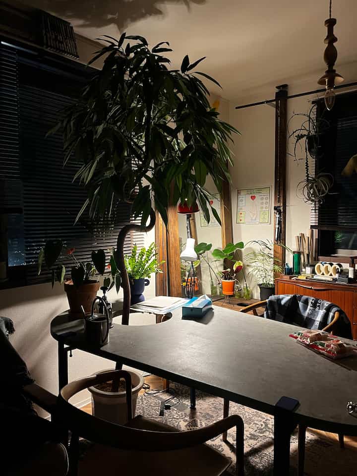 Dining room with wood-tone furniture and abundant plants under soft, dim lighting, creating a natural atmosphere