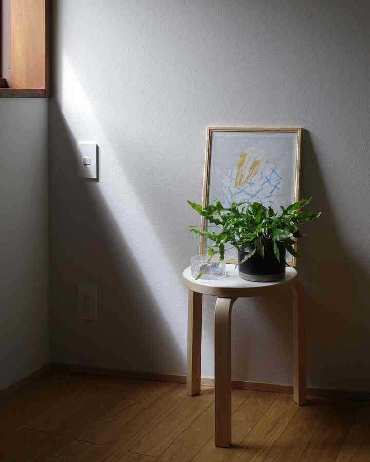 加湿器を片したのでスツールは色んなものを乗せて楽しんでいます🪑 #スツール60 #artek #無垢材フローリング 