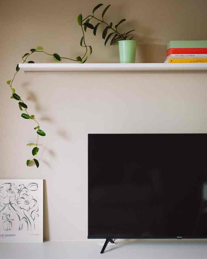 Clean space featuring white walls, a shelf, TV, and plants with a minimalist atmosphere