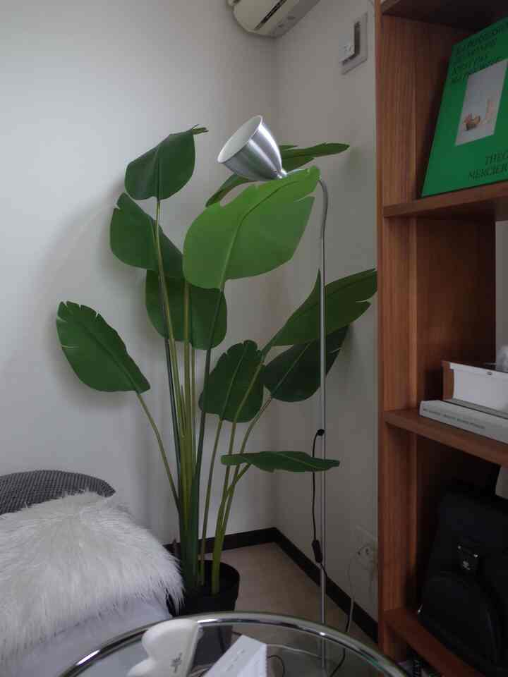 お気に入りなIKEAフェイクグリーン🌱
観葉植物のなかで、ゴクラクチョウカが1番上品な感じで好きかも〜！、


#フェイクグリーン #観葉植物のある暮らし #インテリアグリーン #植物のある生活 #一人暮らし部屋 #ひとり暮らしインテリア #部屋作り #インテリア好きと繋がりたい #ナチュラルインテリア #韓国インテリア #北欧インテリア #暮らしを楽しむ #丁寧な暮らし #おうち時間 #おしゃれな部屋 #ガラスのテーブル #間接照明のある暮らし #楽天購入品 