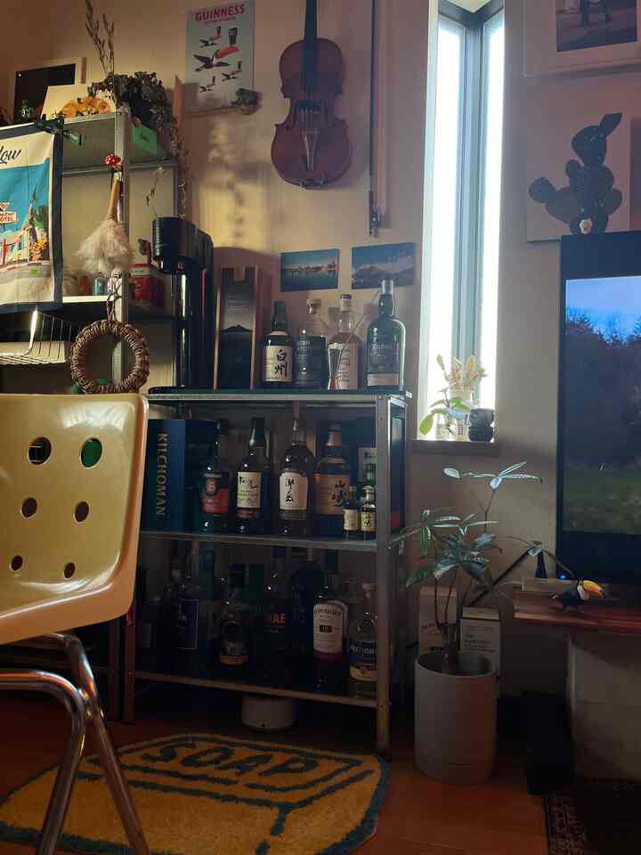Warm brown-toned living room home bar space featuring metal shelves with whiskey bottles and plants arranged for cozy ambiance