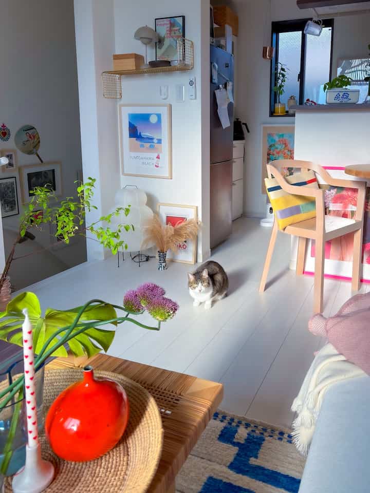 白い床とナチュラルな木製ダイニングチェアのあるリビング、中央に猫が座り、植物と額縁が配置された落ち着いた空間