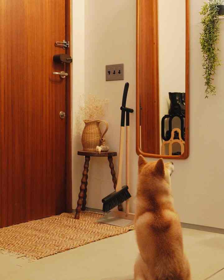 Scandinavian vintage entrance 🚪

#Entrance #玄関入口インテリア #ミラー #姿見