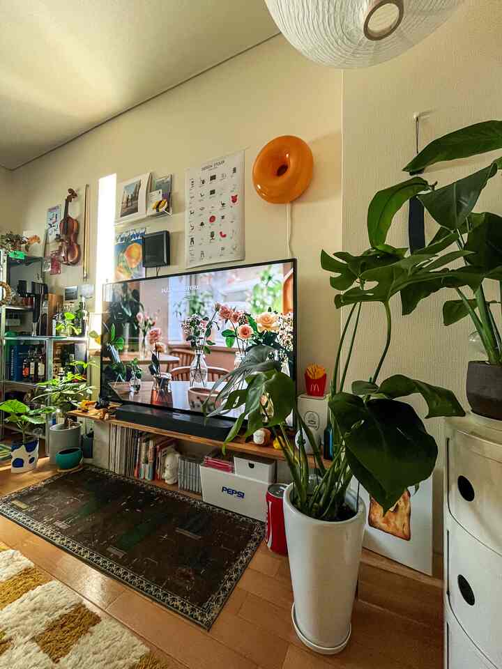 観葉植物たちが元気☺️
みんな成長していて嬉しい！

#インテリア
#リビング
#狭い家のインテリア 
#狭い部屋 
#観葉植物
#アパートのリビングルーム 
#賃貸　#賃貸暮らし
#植物のある生活 
#インテリアおすすめ 