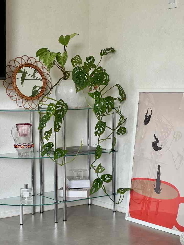 Next to the TV.

I don't really get it🙃

#Shelf #テレビ棚 #絵画 #絵画インテリア #ガラス花瓶