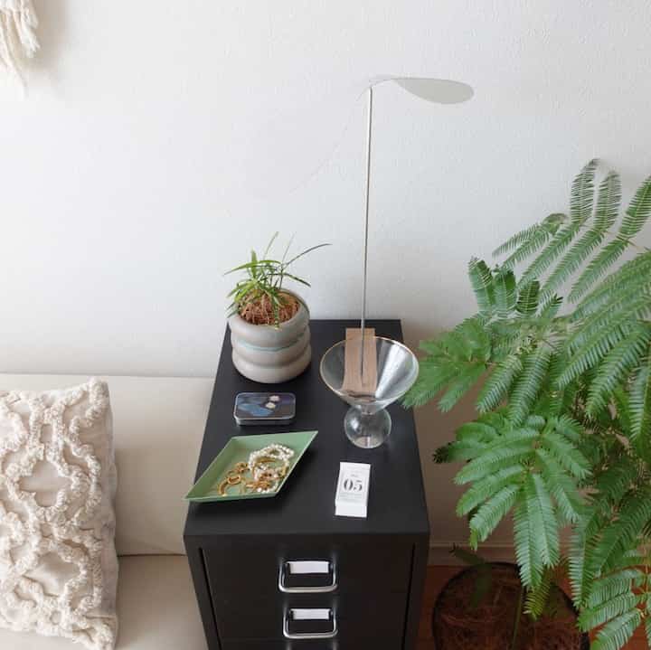 白い壁と黒いヘルメル収納ユニットが配置されたワンルーム、植物と小物が自然な雰囲気を演出