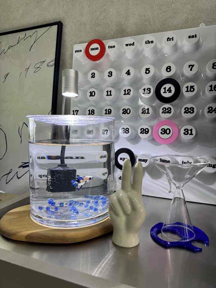 #ベタのいる暮らし

#インテリア 
#インテリアオブジェ 
#インテリア照明 
#ミッドセンチュリー
#ミッドセンチュリーモダン 
#cozy
#home
