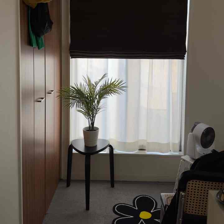 茶色い収納と黒いスツールに白い鉢植えの植物が置かれた、白いカーテンのあるベランダ風の印象的な空間