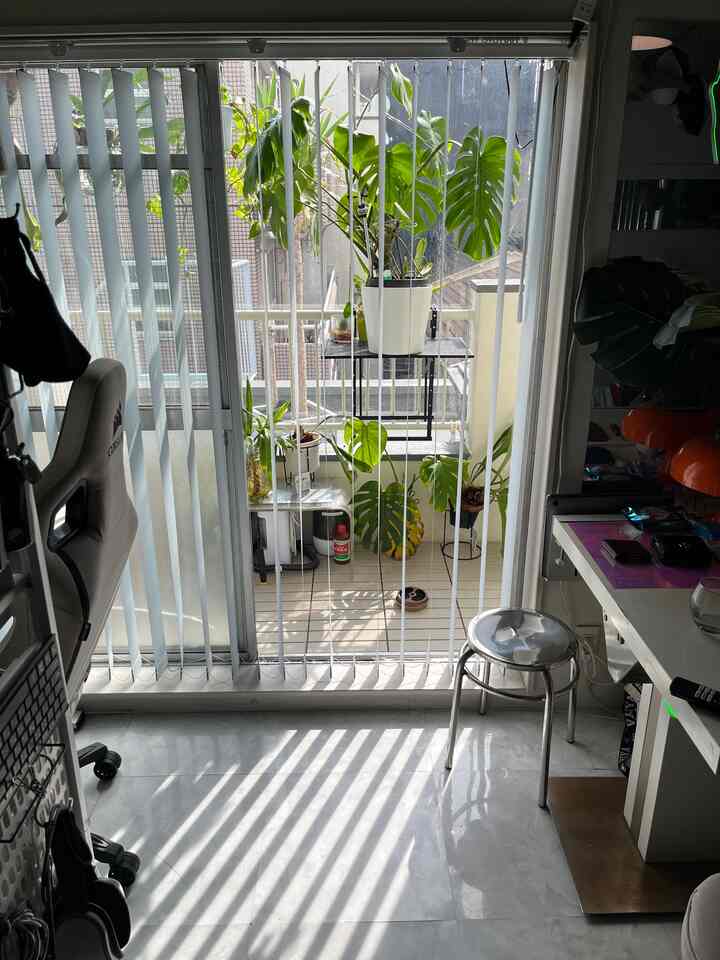 White and silver toned compact home office with vertical blinds allowing sunlight and assorted leafy plants arranged neatly