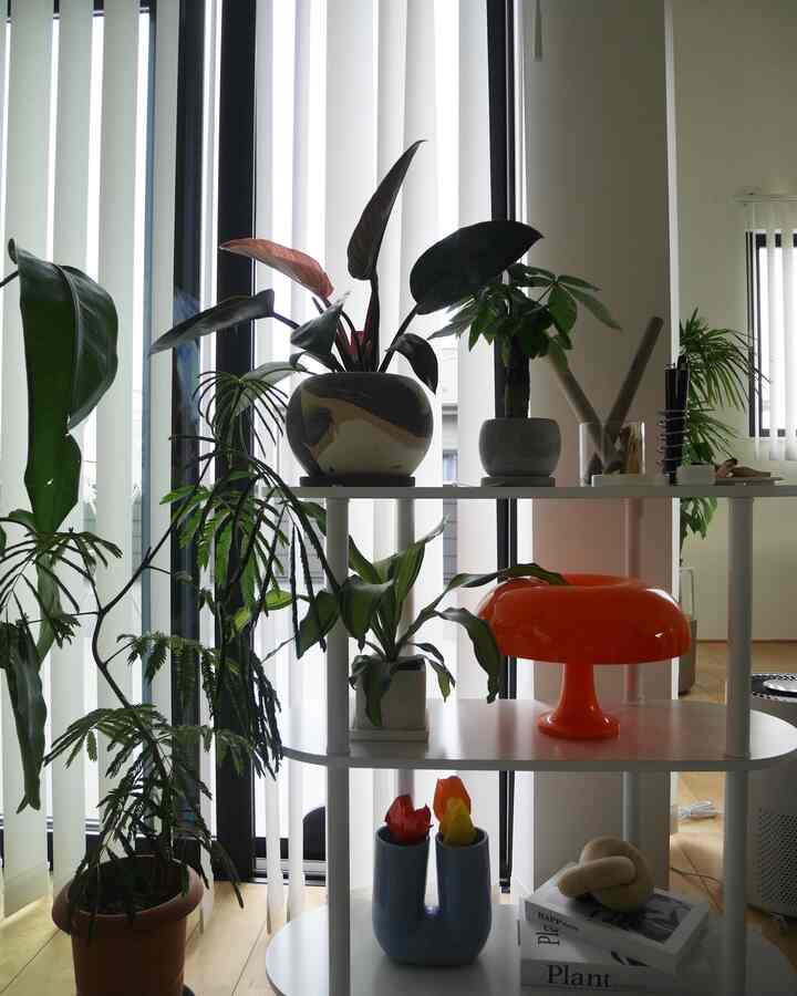 “A cozy corner filled with plants, light, and little things that make me smile. 🍃☀️🌿 #InteriorVibes”
 

「植物と光に包まれた、わたしだけの癒しのコーナー。お気に入りの雑貨たちも一緒に🕯✨」
 
식물과 햇살에 감싸인 나만의 힐링 코너.
소중한 소품들도 함께해요🌿☕📖🪑🪞  

#インテリアのある暮らし #植物のある生活 #観葉植物のある暮らし  
#おしゃれな部屋 #丁寧な暮らし #暮らしを楽しむ  
#interiorstyling #plantlover #cozyhome #shelfie #homedecor  
#interiorinspo #japanesestyle #moderninterior #greenlife