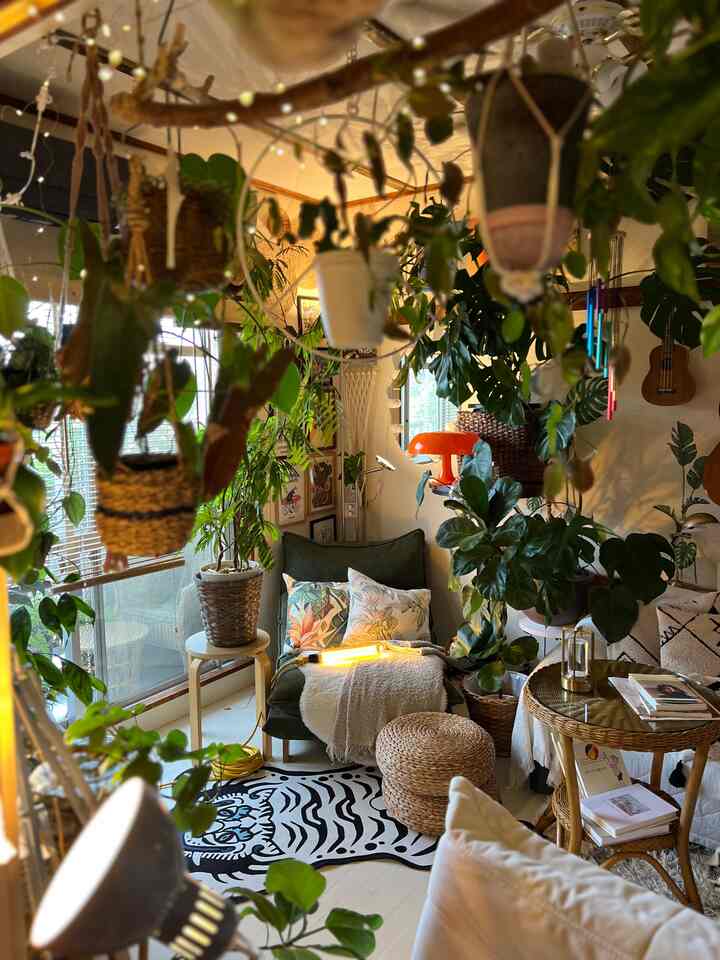 リビングルームは植物多め

#リビングルーム　#リビングルームのインテリア 
#観葉植物 #ウッドカーペット　#アジア工房 
#和室インテリア　#和室　#団地 #団地暮らし 
#築古 #築古マンション #3DK 
