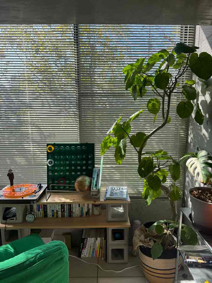 ブラインド開けたら外の植栽も、うちのインテリアになるので得してます🉐

#観葉植物 #グリーンインテリア #植物 #植物インテリア #ナチュラルインテリア 