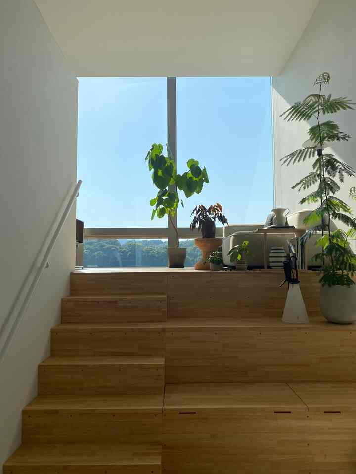 澄んだ空が気持ちいい
暖かくなってきて植物達が動きだした

#スキップフロア
#living
#interior