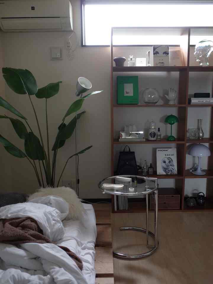 朝の光はきれいよねぇ🌞

#ストレリチア #スタッキングシェルフ #ベッドフレーム #アイリンテーブル