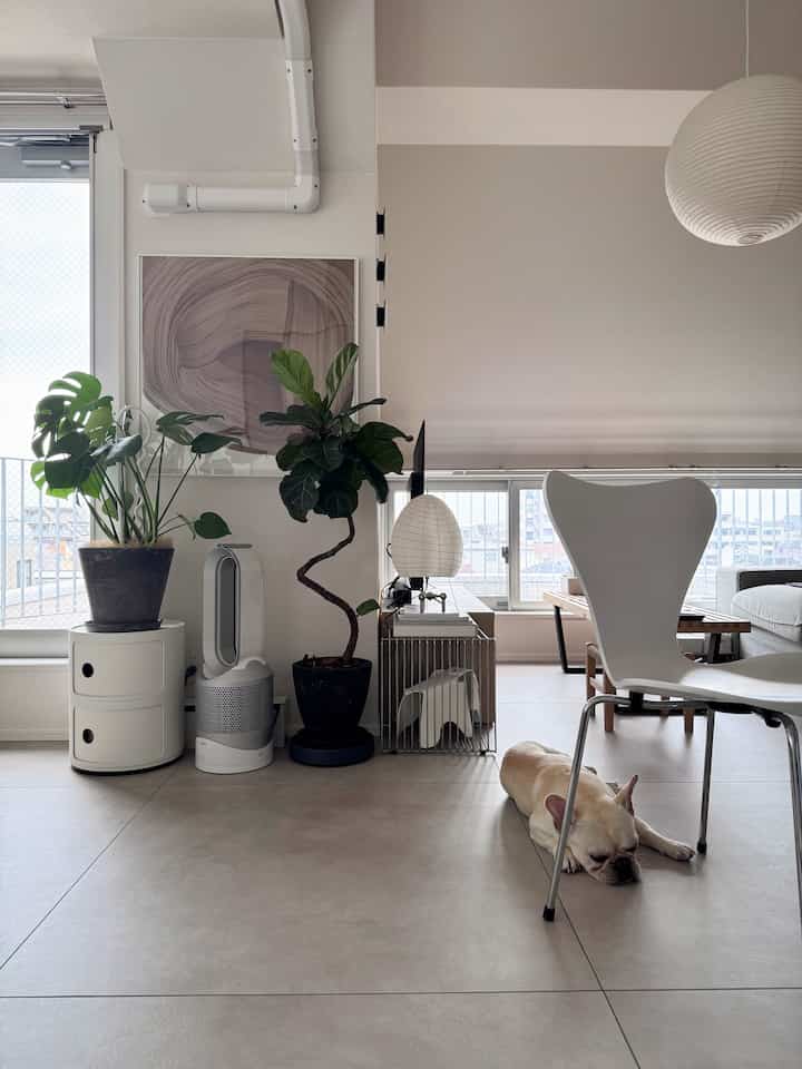 White and beige toned living room featuring Mid-Century Modern dining chairs and foliage plants with a clean, cozy atmosphere