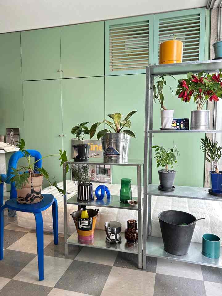 Light green tone veranda space featuring metal shelves and a blue stool with various plants, natural and mid-century modern style interior