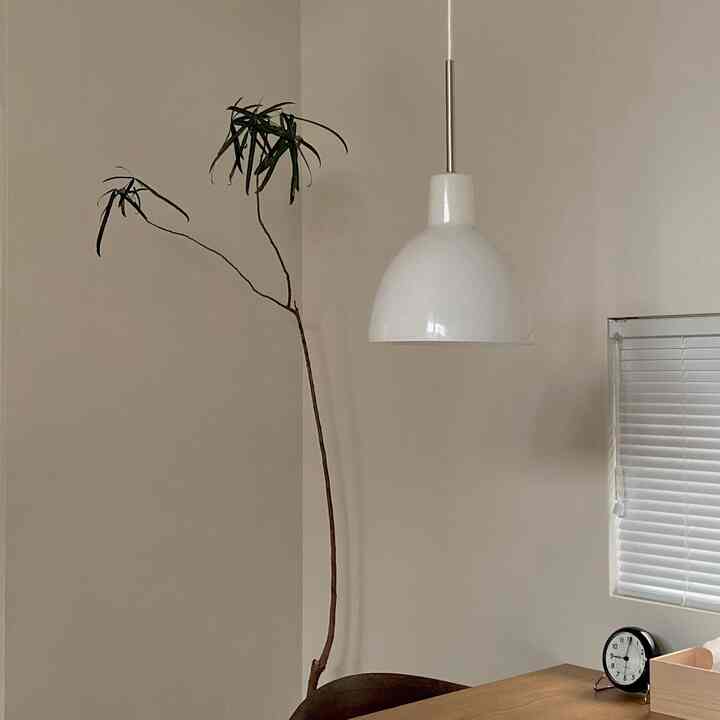 白い壁とペンダントライト、木製ダイニングテーブルと椅子1脚、長い植物があるシンプルなダイニング空間