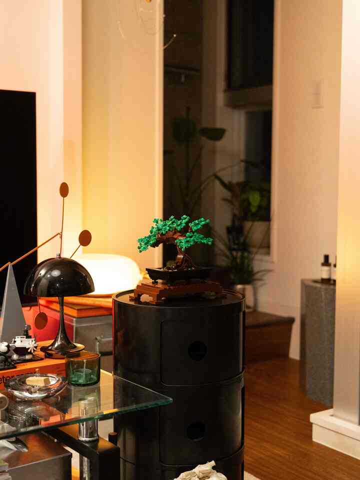 LEGOの盆栽が部屋にかなりマッチして嬉しい✌️
本物の植物ではなかなか出せないグリーンで存在感があってgood！
春は桜仕様に変えれるから楽しみ😳

#LEGO
#ミッドセンチュリー 
#ミッドセンチュリーモダン 
#リビング 