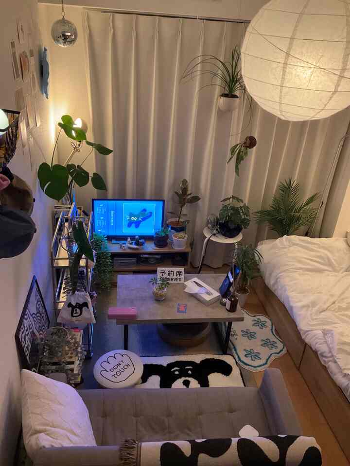 ナチュラルな色調の6畳1Kワンルーム、植物とシンプルな家具が配置された居心地の良い空間