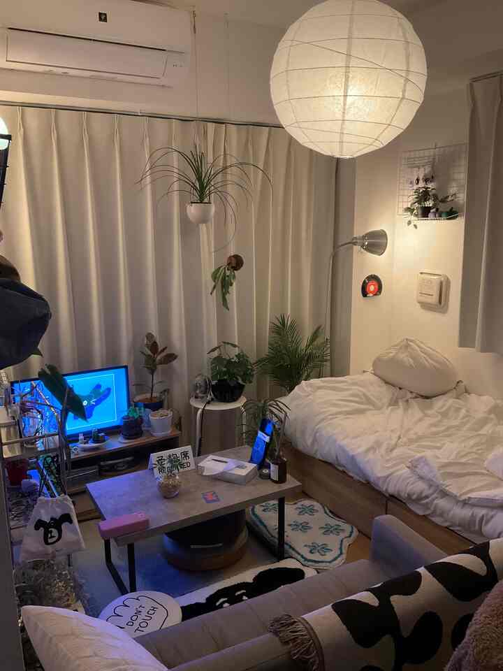 Beige-toned curtains and wood-tone bed in a small single household living-room-bedroom, cozy space with sofa and plants