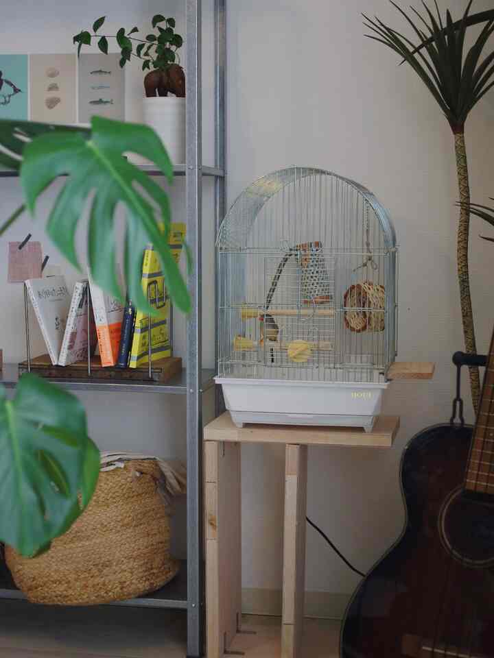 ダイニングにいるきんちゃんの鳥かごはアーチで可愛い〜
下の台は端材で作ったDIY
こうやってみるとIKEAだらけのお家

#鳥かご #文鳥のいる暮らし #IKEA #IKEA家具 #DIY #ふたり暮らし