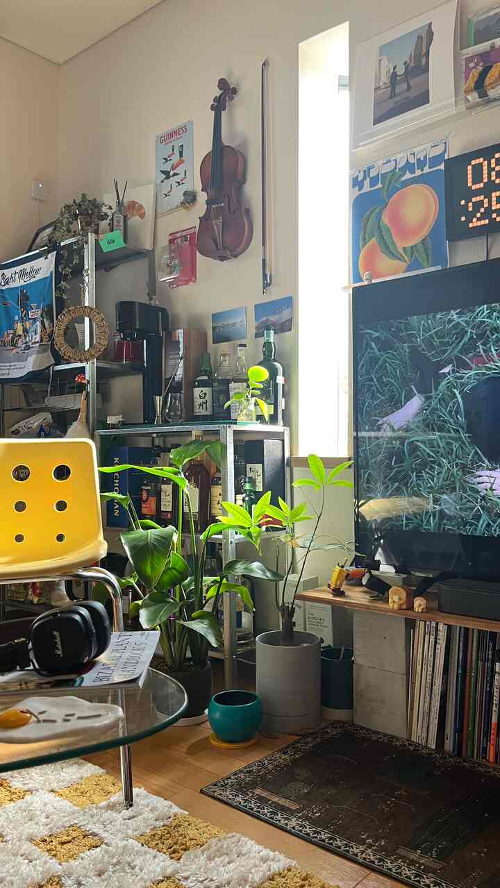 春になると植物たちがとても元気で嬉しい☺️

#観葉植物
#植物のある生活 
#植物インテリア 
#リビングインテリア
#リビング
#テレビボード 