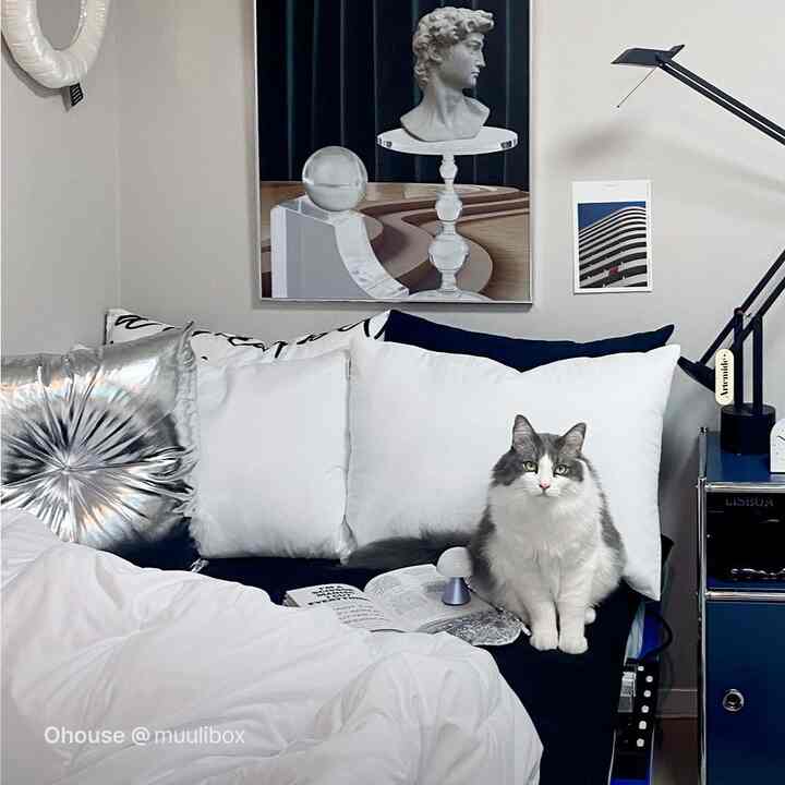 白と青のトーンのリビング、白いソファとクッションの上に猫が座っているモダンで落ち着いた雰囲気のインテリア