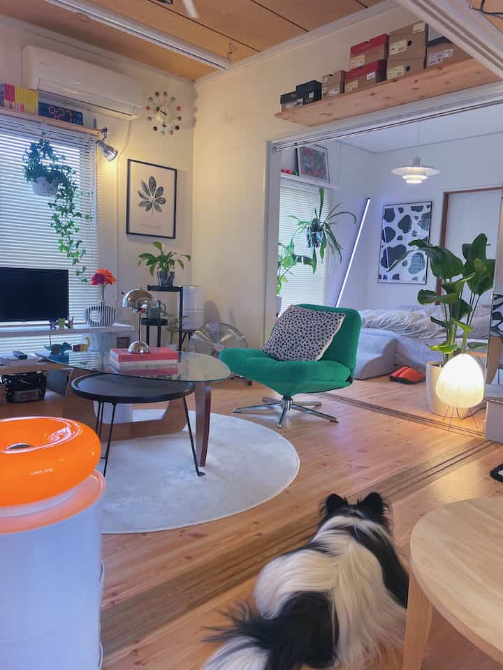 Natural-toned living room featuring wooden floors, a green swivel chair, abundant plants, and a dog lying on the floor
