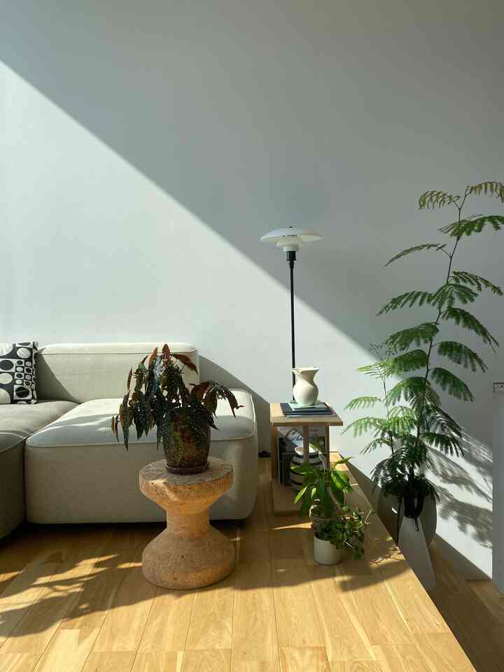 雨の日が続いているので、陽の光が入ってくるだけでテンションが上がる☀️

#living
#観葉植物 
#green
#vitra
#fritzhansen