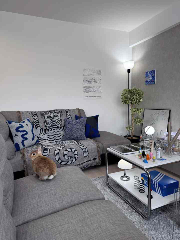 POST GENERAL様からもらったホワイトタイガーのスローケットが可愛い🐅🤍🤍

#リビング
#リビングインテリア
#リビング植物 
#ミッドセンチュリー
#ミッドセンチュリーモダン
#うさぎ
#うさぎのいる暮らし