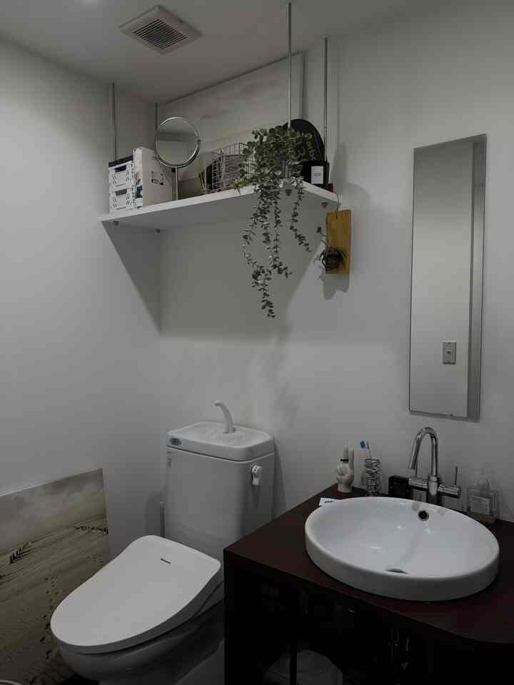 白い壁にブラウンのカウンターと白い洗面台、トイレが配置された小さなバスルーム、上部に吊るされたフェイクプラント付きの雰囲気あるインテリア